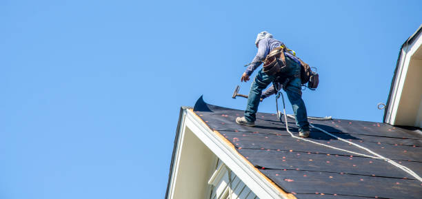 Best Roof Gutter Cleaning  in Unionville, MO